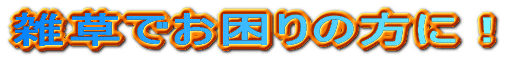 �G���ł�����̕��ɁI